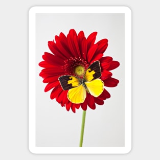 Dogface Butterfly On Red Mum Sticker